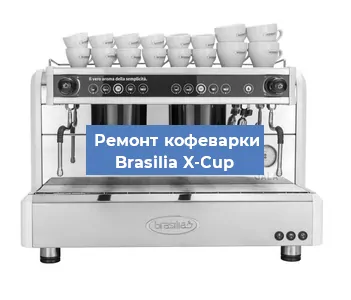Замена мотора кофемолки на кофемашине Brasilia X-Cup в Красноярске